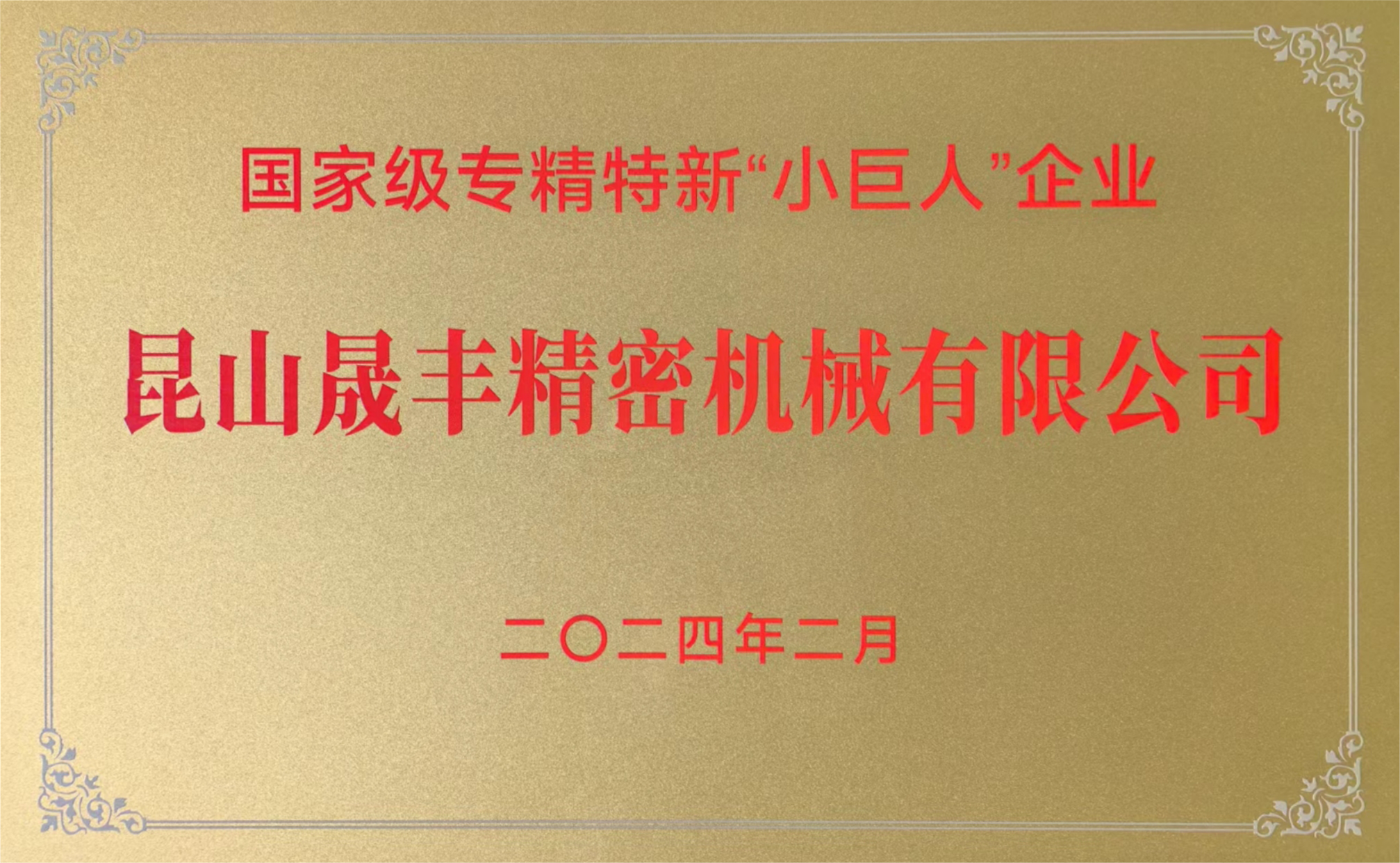 国家级专精特新“小巨人”企业证书